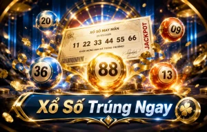 Xổ Số nolanation504